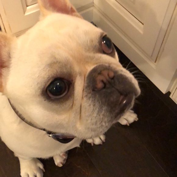 Meet your Posher, Beth - Picture 1 of 2